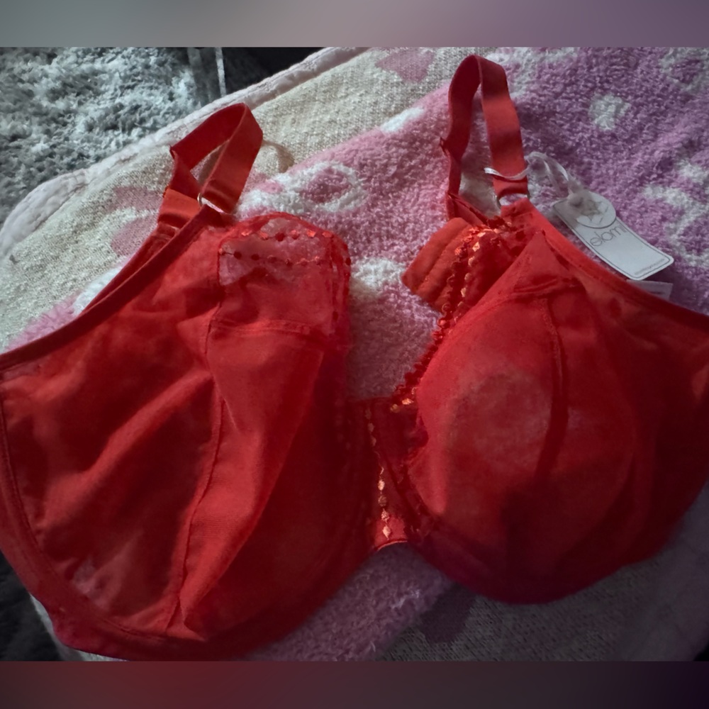 Red Lace Women's Bra